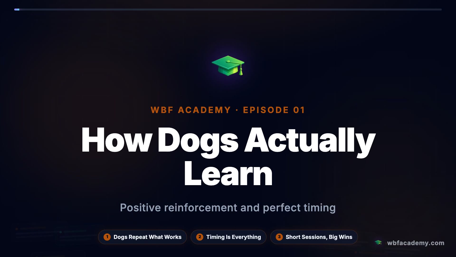 How Dogs Actually Learn