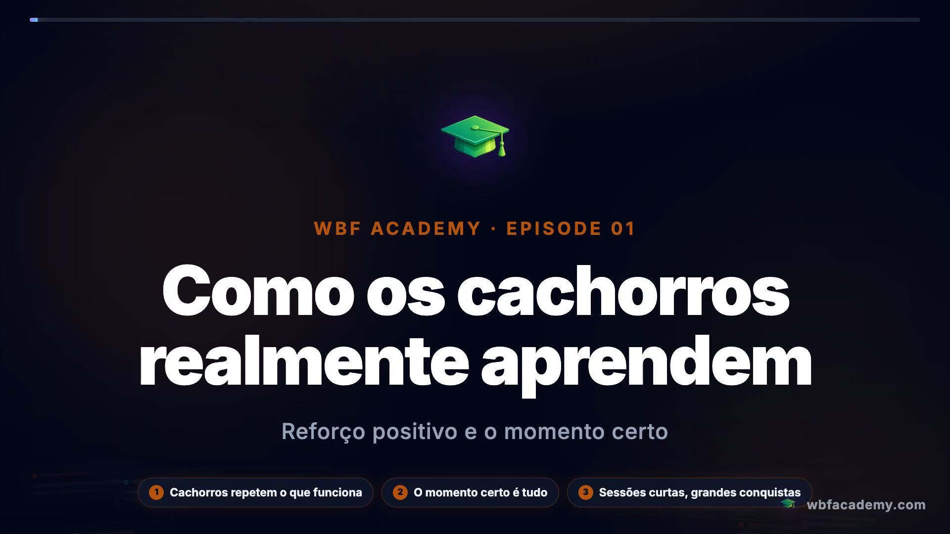 Como os cachorros realmente aprendem