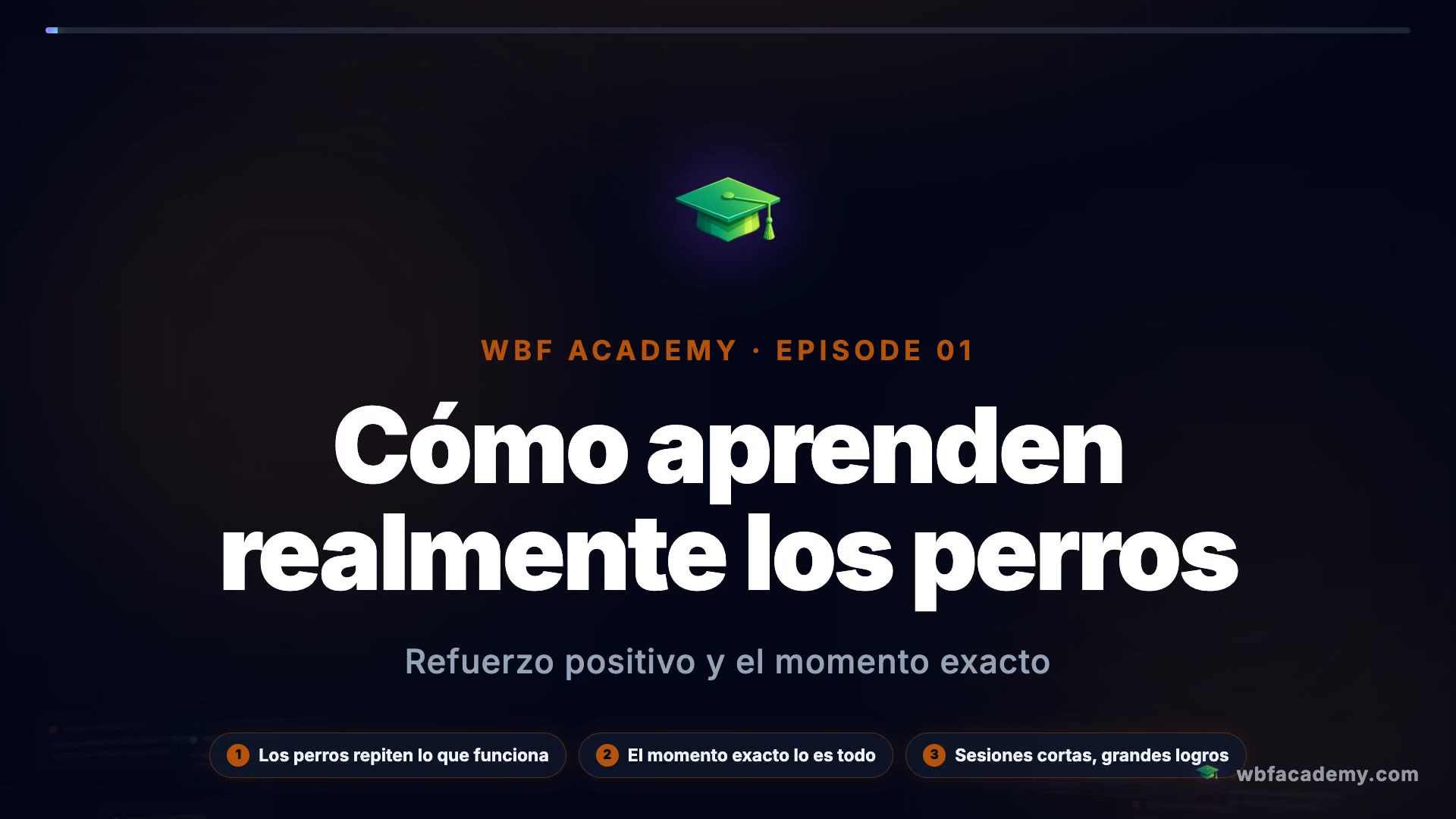 Cómo aprenden realmente los perros