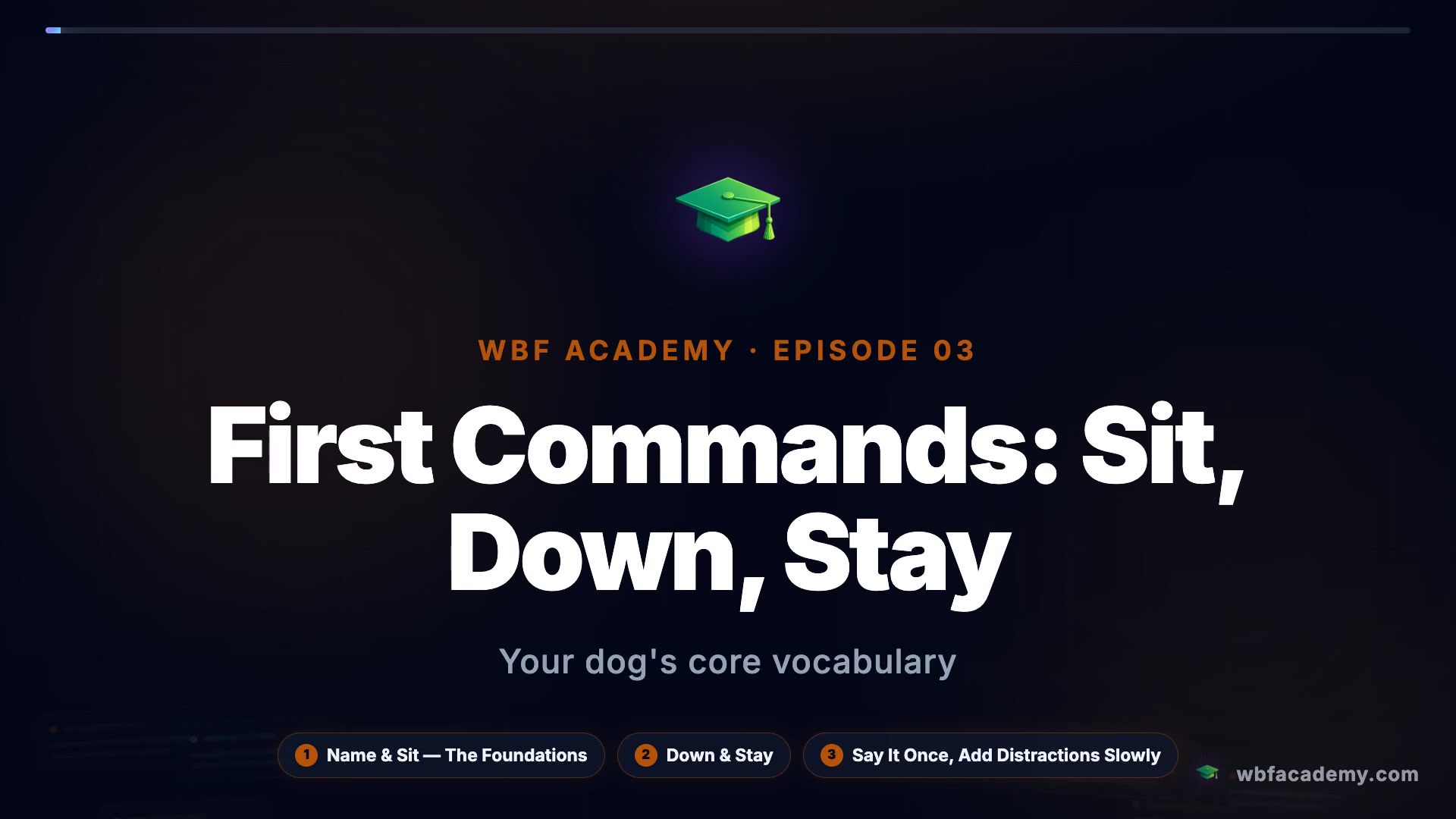 First Commands: Sit, Down, Stay