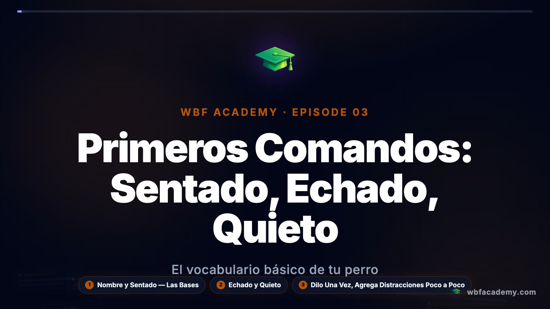 Primeros Comandos: Sentado, Echado, Quieto