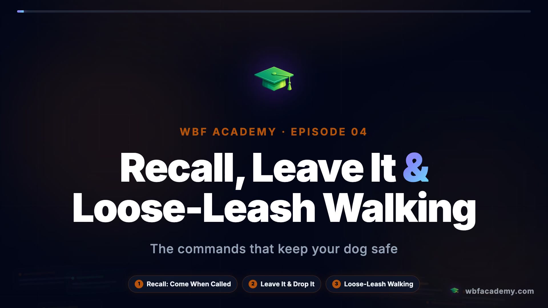 Recall, Leave It & Loose-Leash Walking