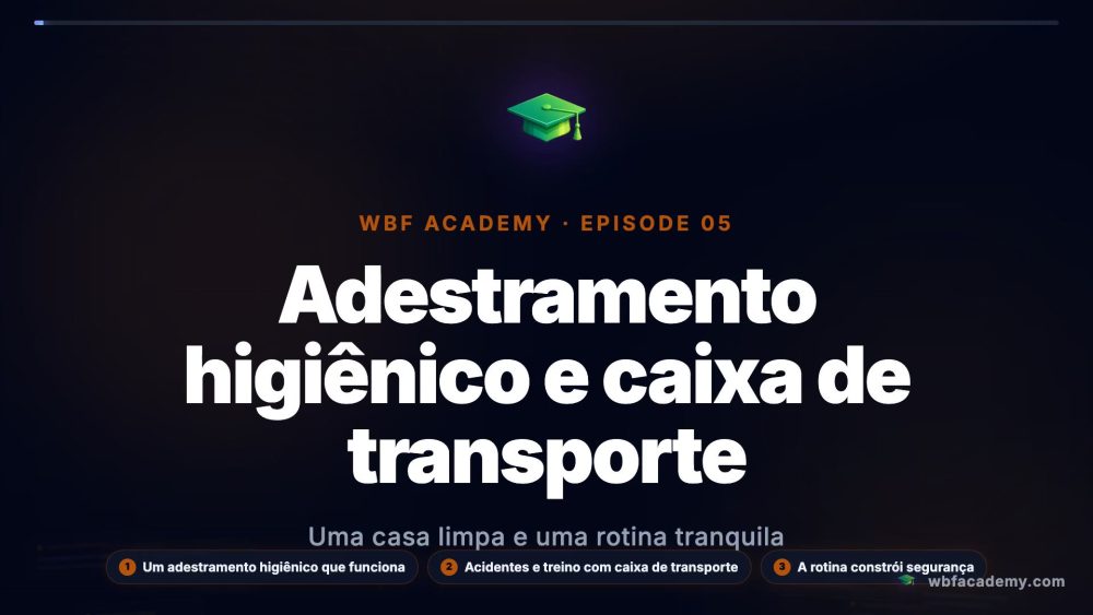 Adestramento higiênico e caixa de transporte