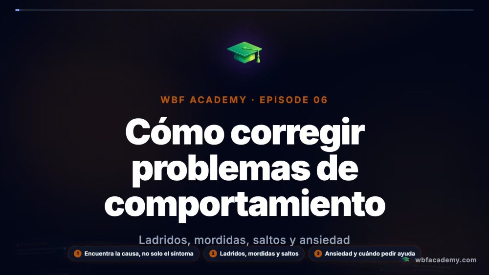 Cómo corregir problemas de comportamiento