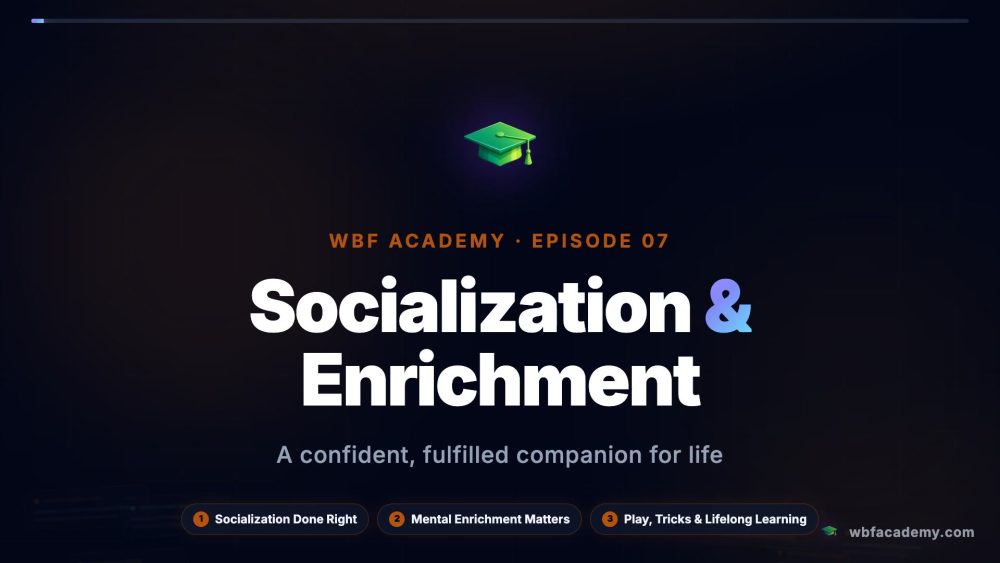 Socialization & Enrichment