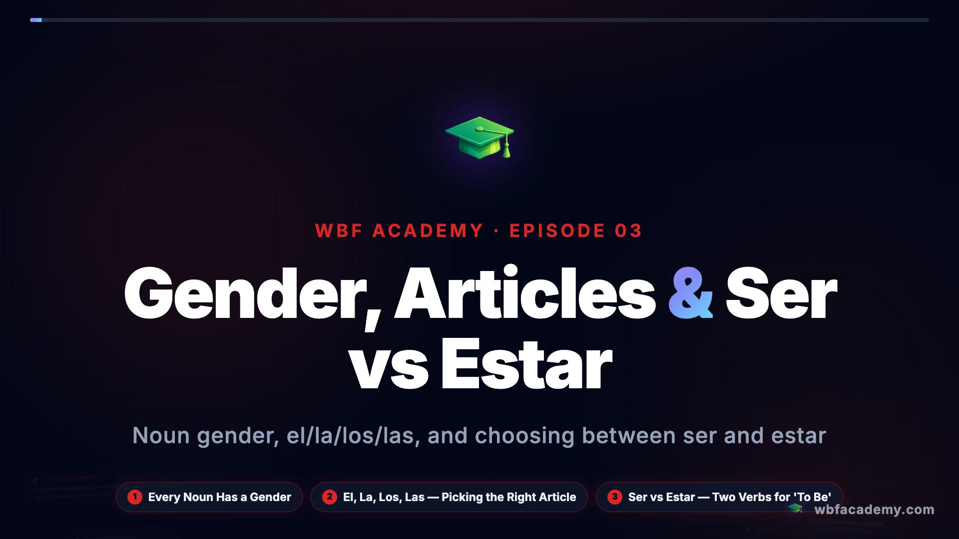 Gender, Articles & Ser vs Estar